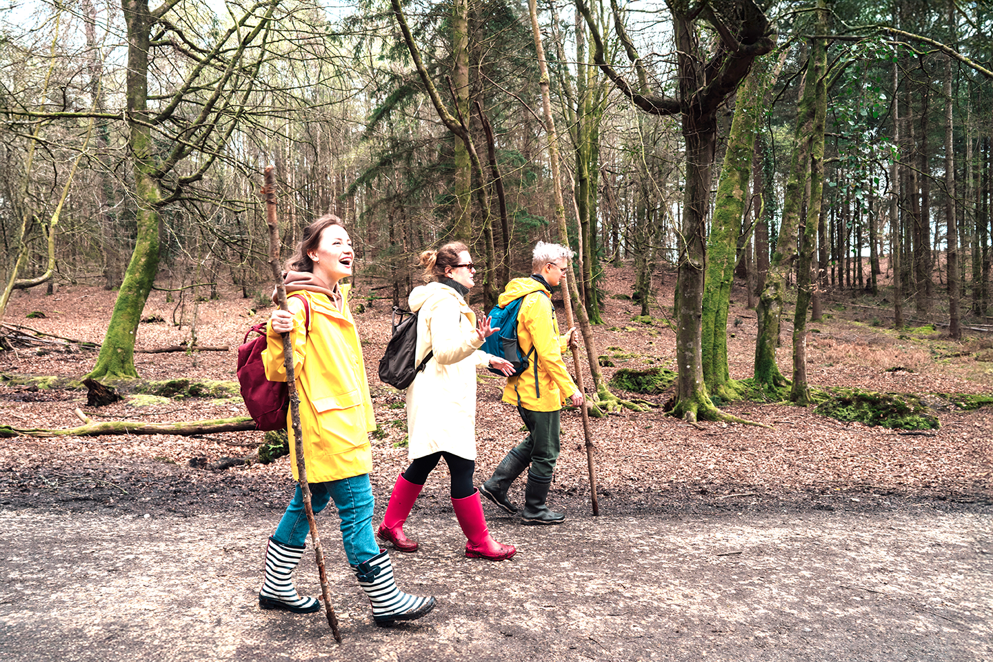 Three woman in outdoor clothing walking along a forest track
